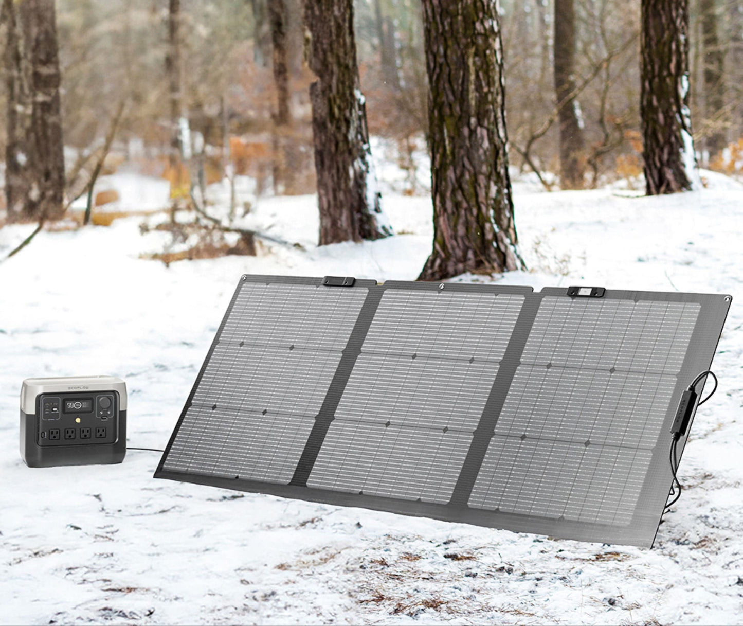 ECOFLOW 160W Watt Portable Solar Panel