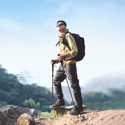 Naturehike Gale Pro 5-Section Trekking Pole Carbon Fiber Aluminum Alloy 2pcs Set