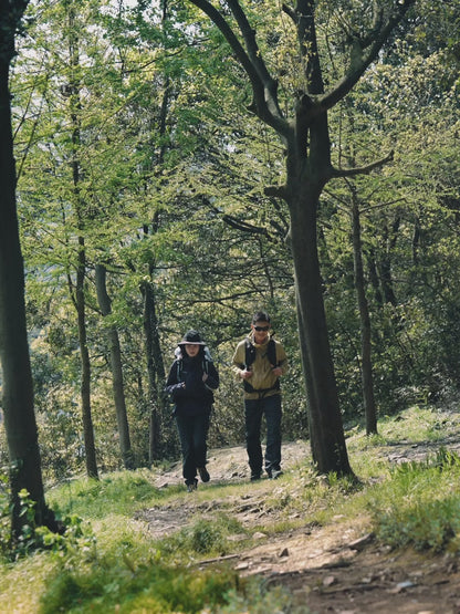 Naturehike Gale Pro 5-Section Trekking Pole Carbon Fiber Aluminum Alloy 2pcs Set